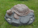 Камень «Престиж» морская черепаха D-85